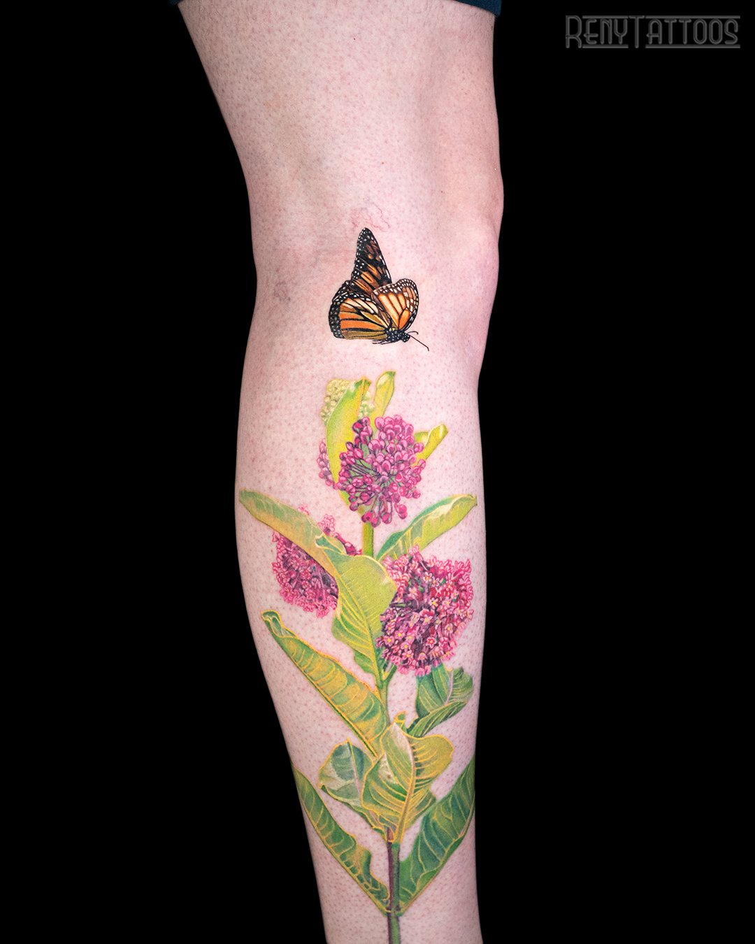 RenyTattoos-Colour-Leg-MilkWeed-MonarchButterfly-1.jpg