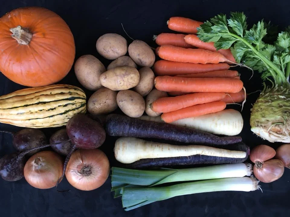EARLY FALL WEEK 4