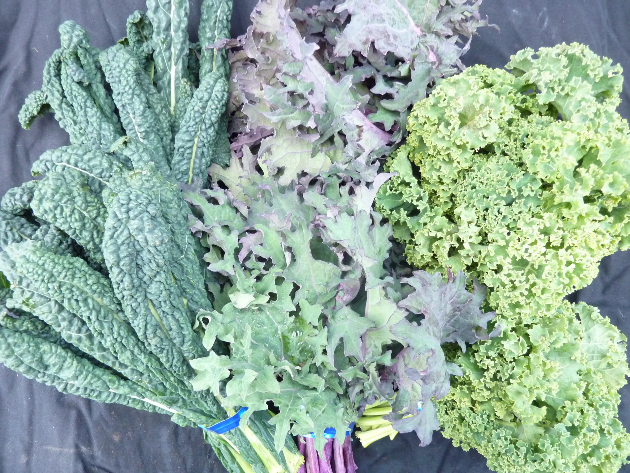 kale-lacinato, red Russian, curly