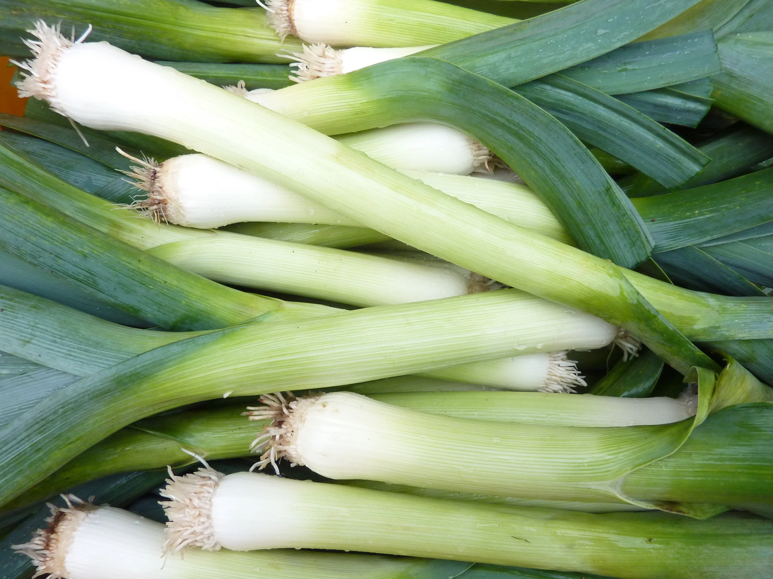 leeks