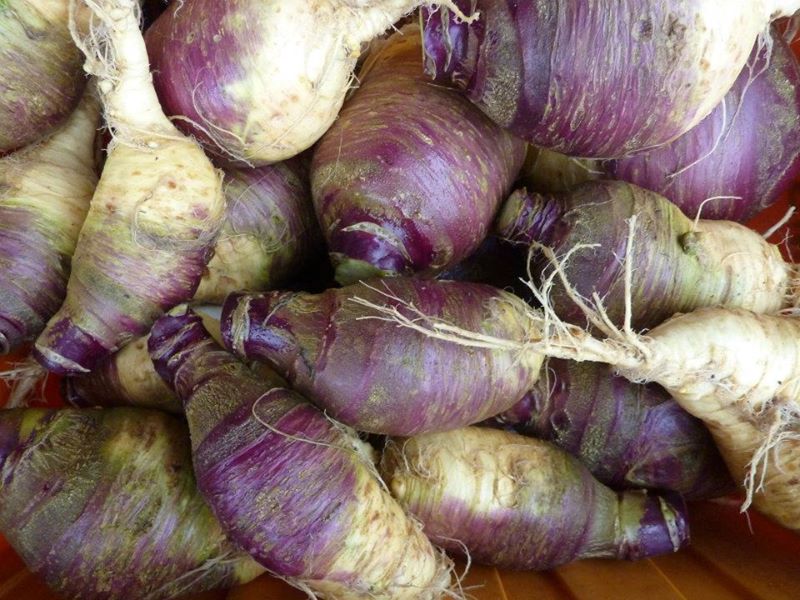rutabaga