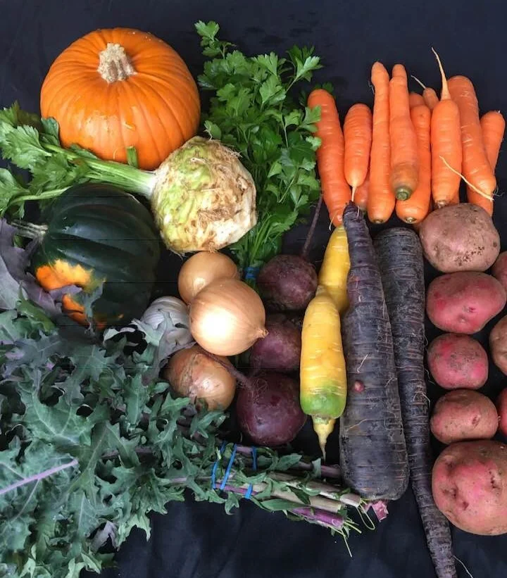 LATE FALL WEEK 1