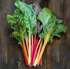 rainbow chard.jfif