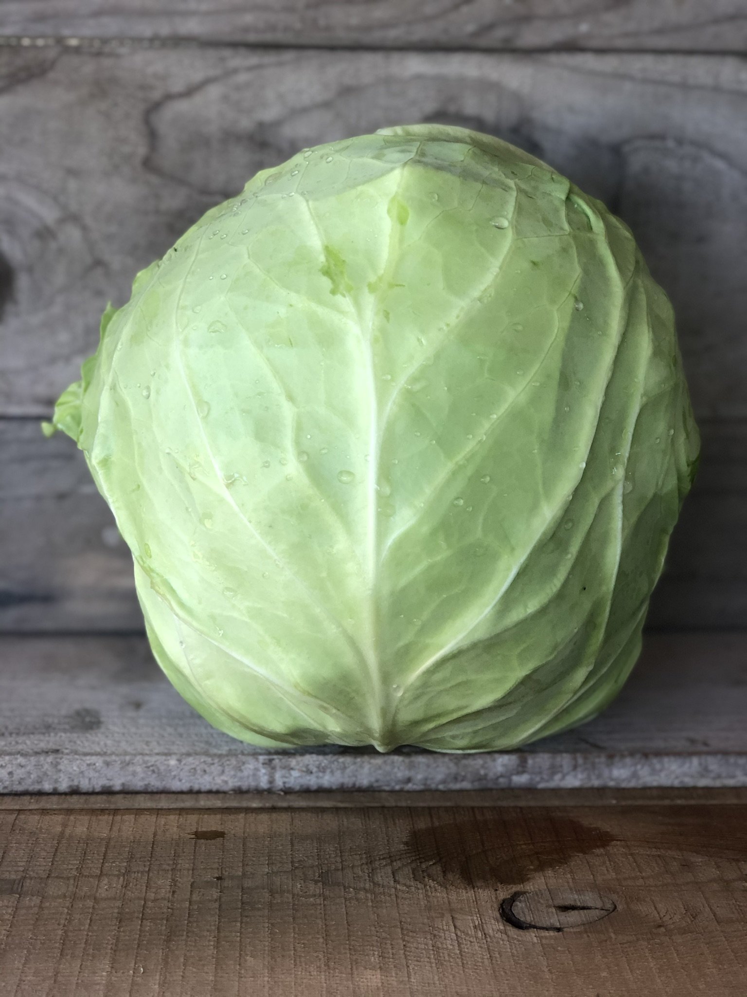 GREEN CABBAGE