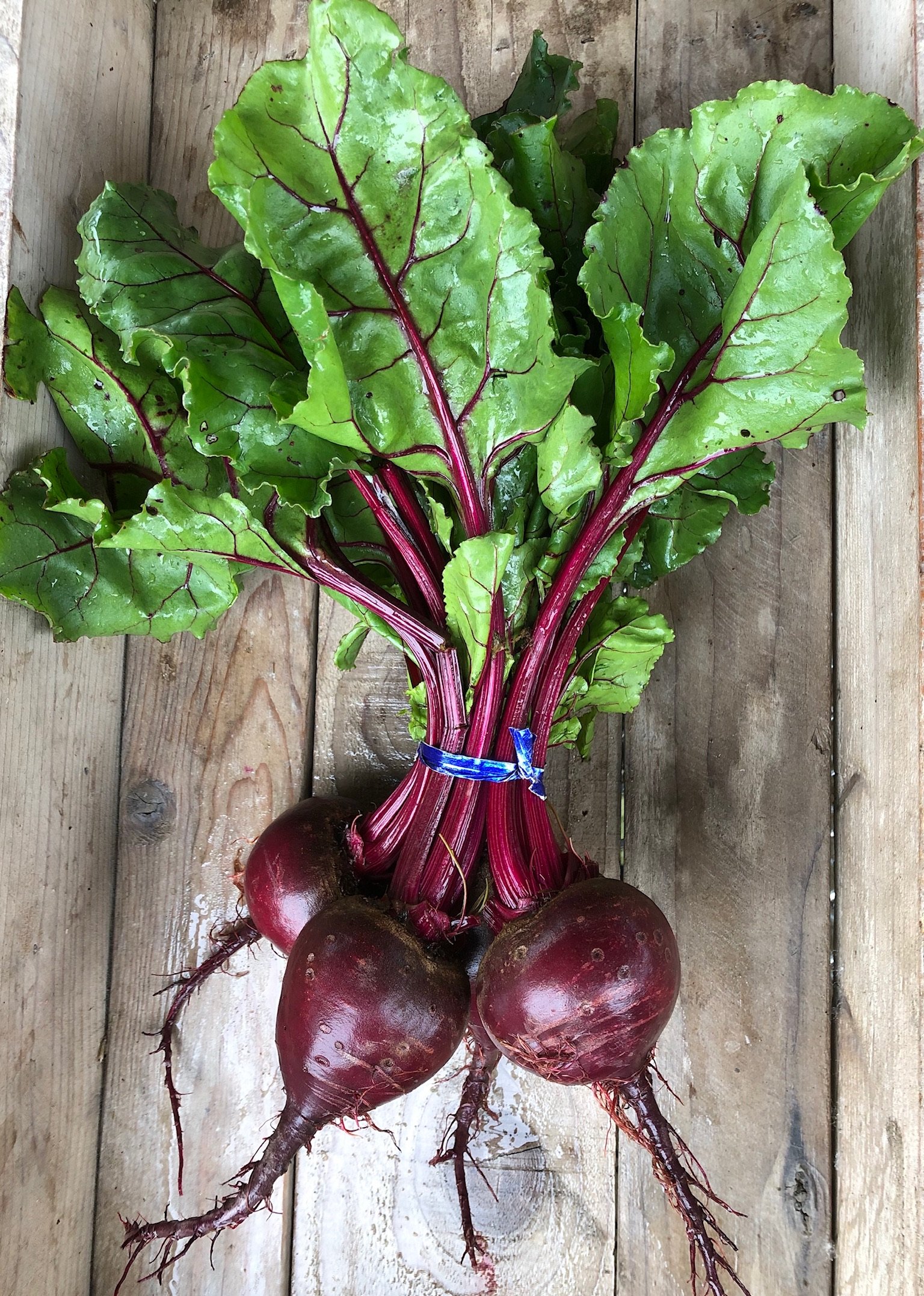 RED BEETS