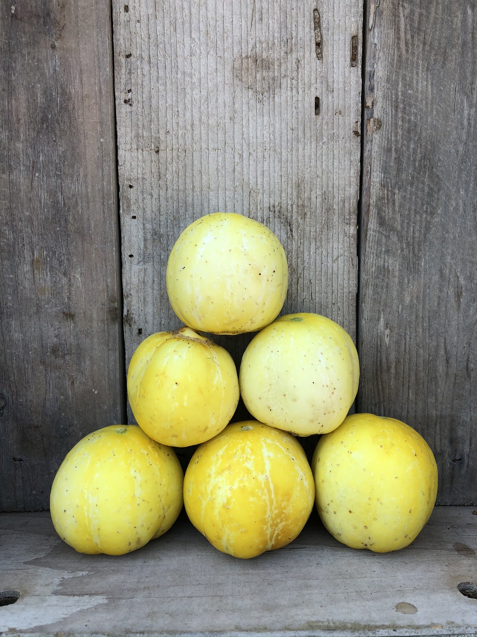 LEMON CUCUMBERS