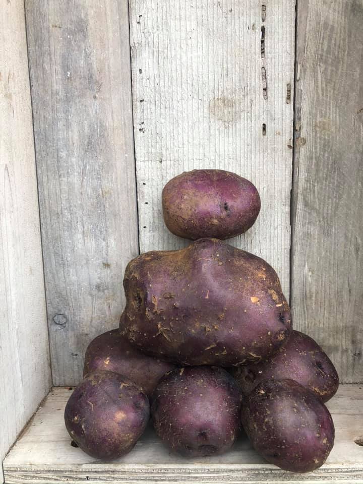 HUCKLEBERRY GOLD POTATOES