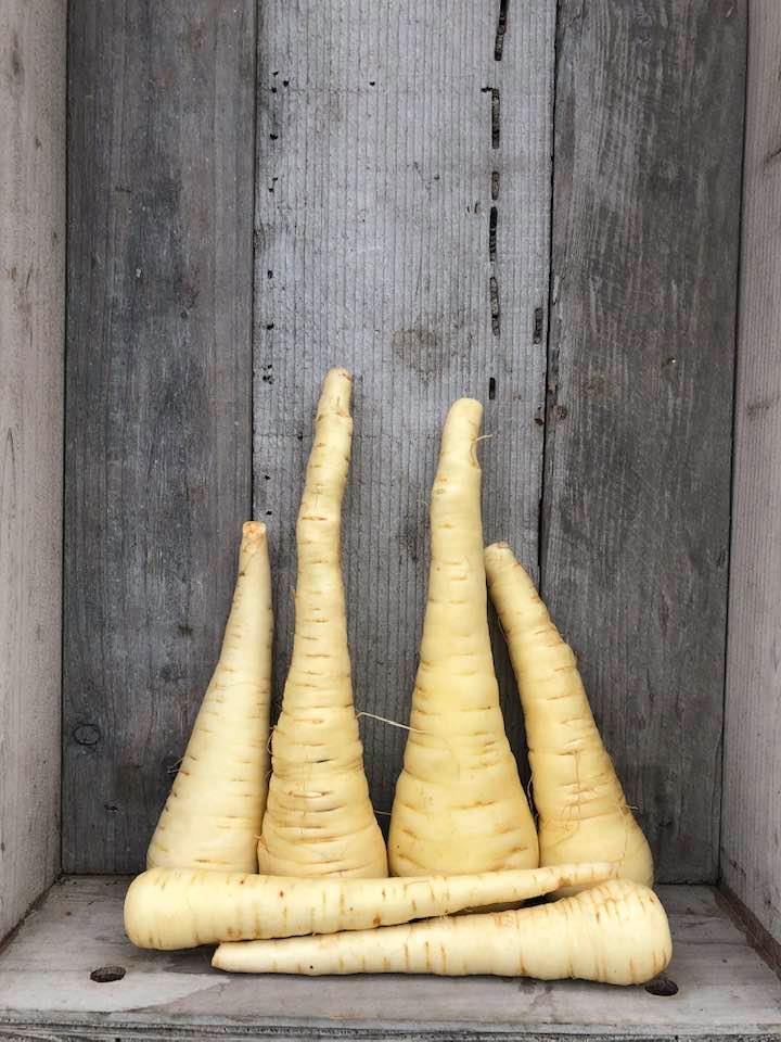 PARSNIPS