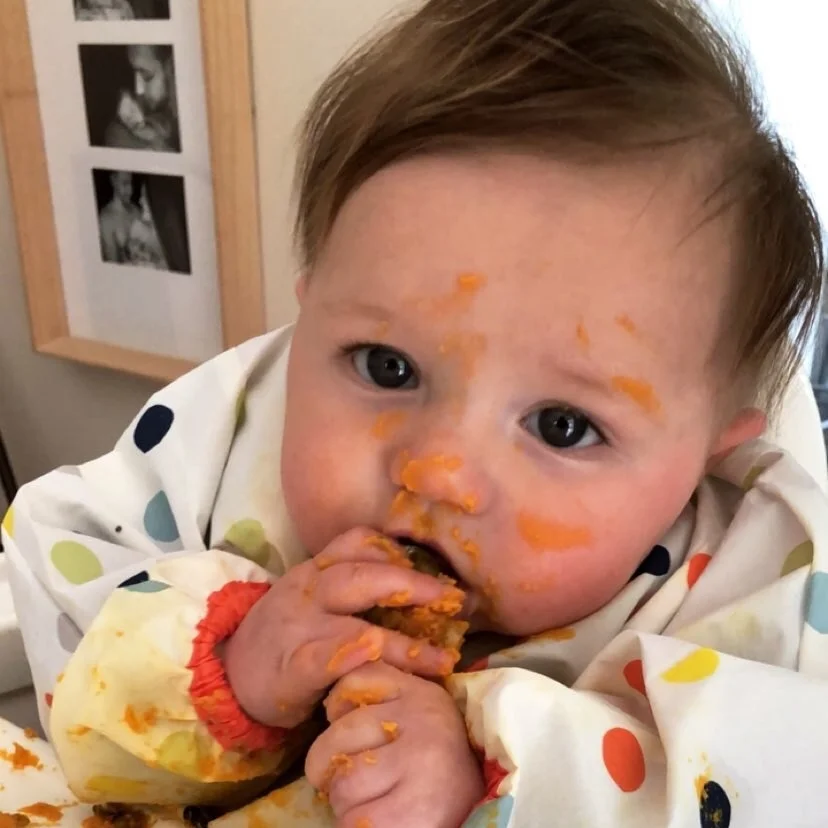 Hunter enjoying some sweet potato and lentil patties
