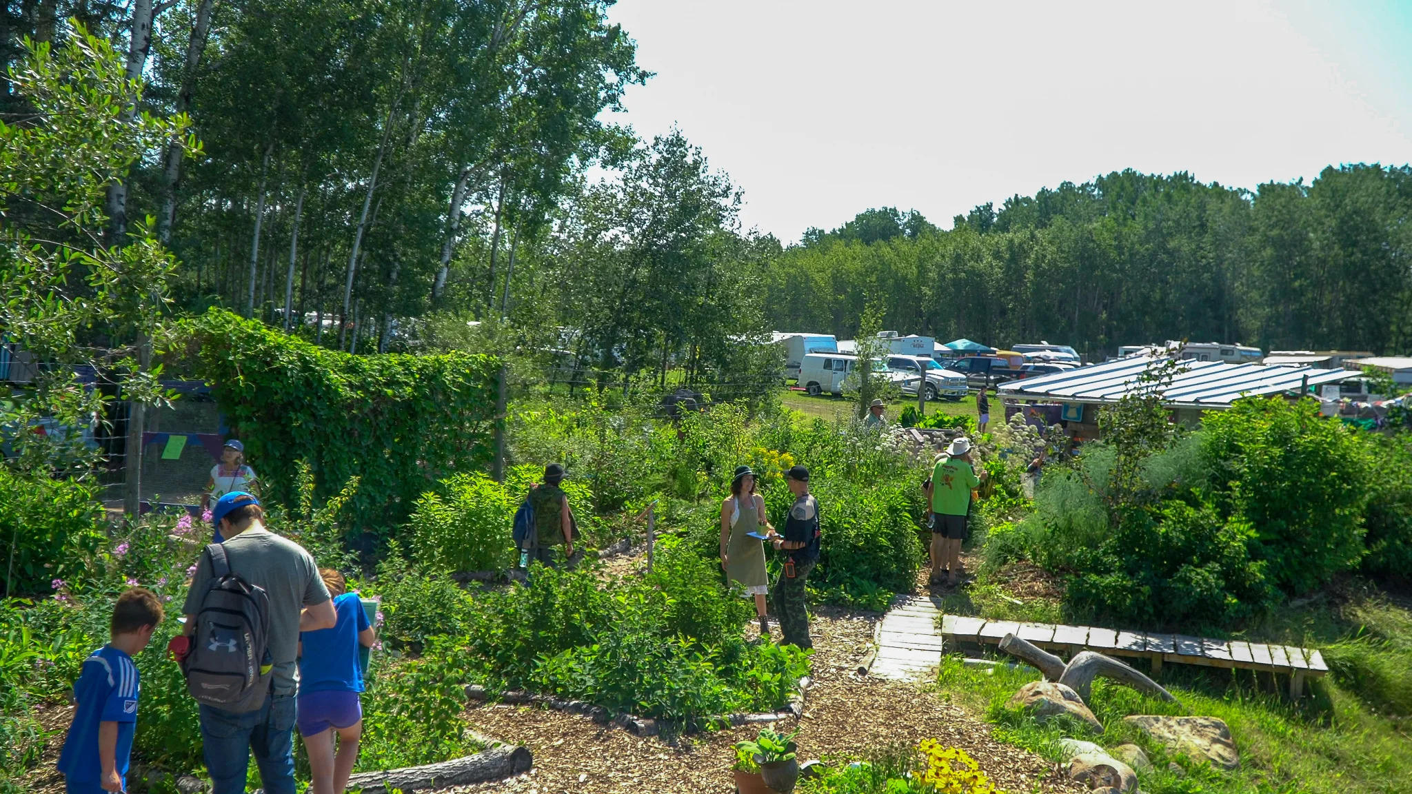Each year, hundreds of visitors to Ness Creek get to experience and be inspired by the forest garden model of food production first-hand.