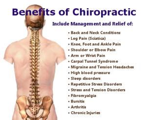 01bbdfa67c01fb8818775d63265902a1--chiropractic-wellness-knowledge-is-power.jpg