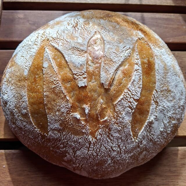 Never been much of a baker, but having fun with this sourdough starter! Only my second loaf!!! #sourdoughbread #sourdoughstarter #breadporn #nofilter #teampixel #breadsofinstagram #breadmaking #naturallyleavened #sourdoughbaking #levainbread #wifemeu