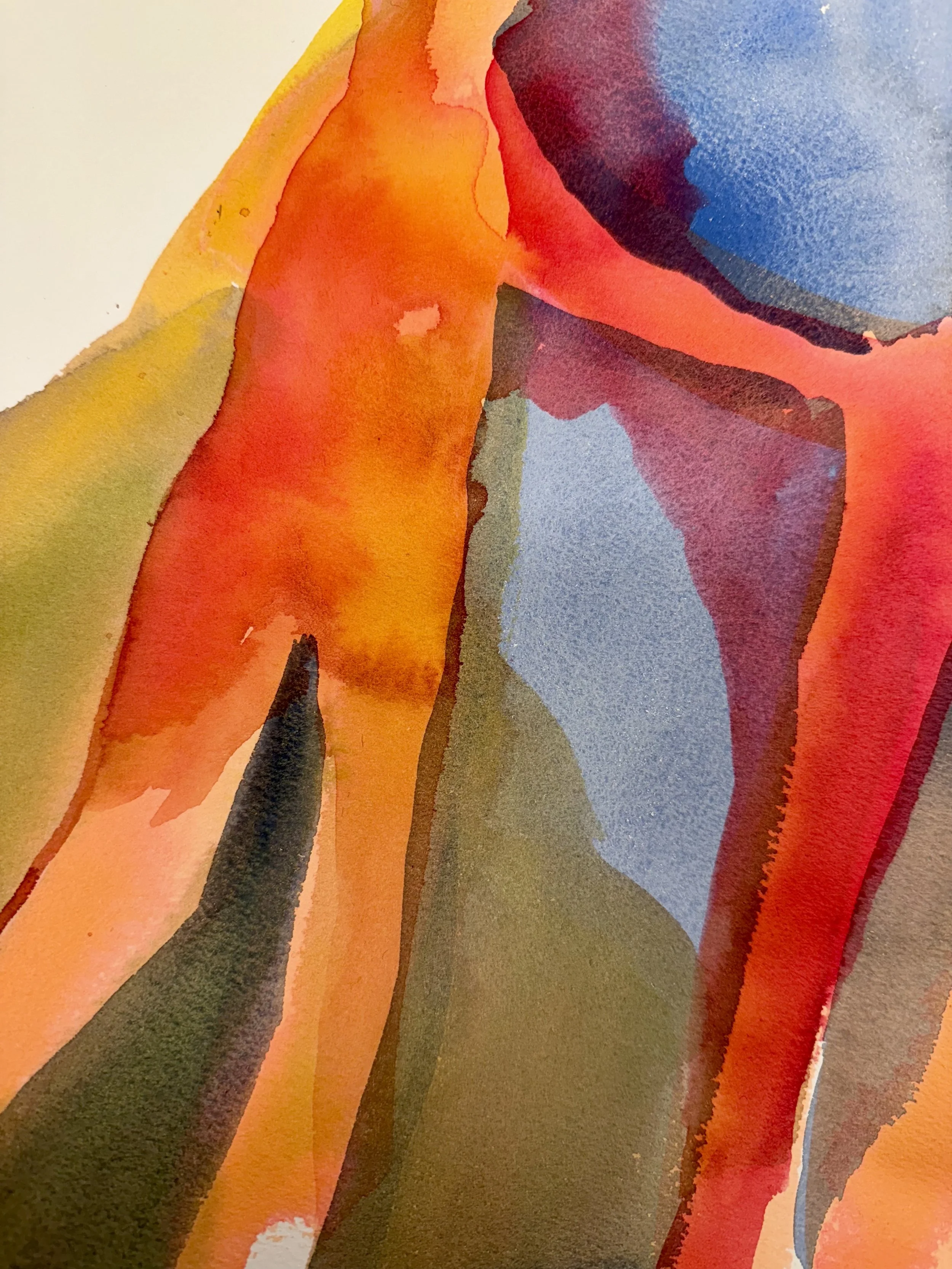 Watercolor on paper - 
"Red DUO"
10 x 8 inches
SOLD