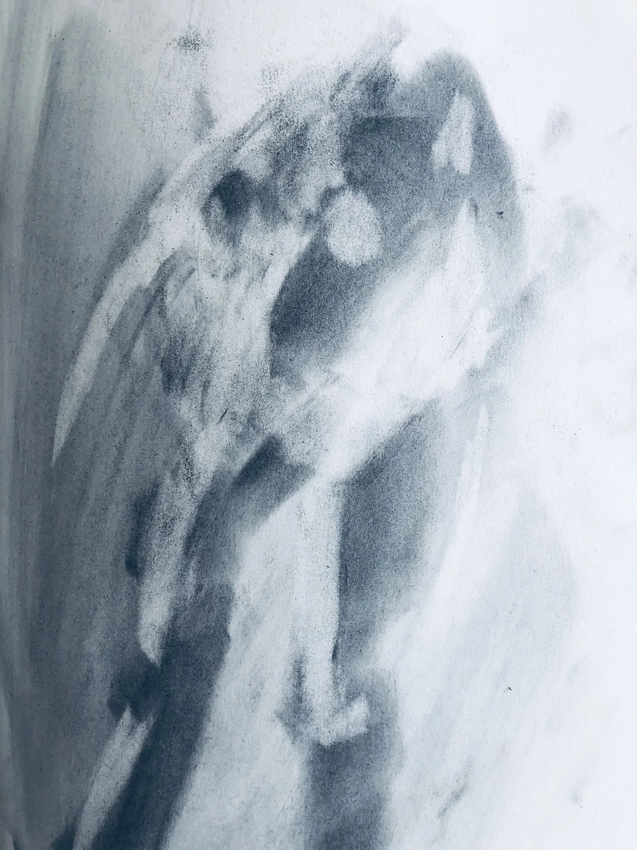 Graphite on paper
24" x 18"