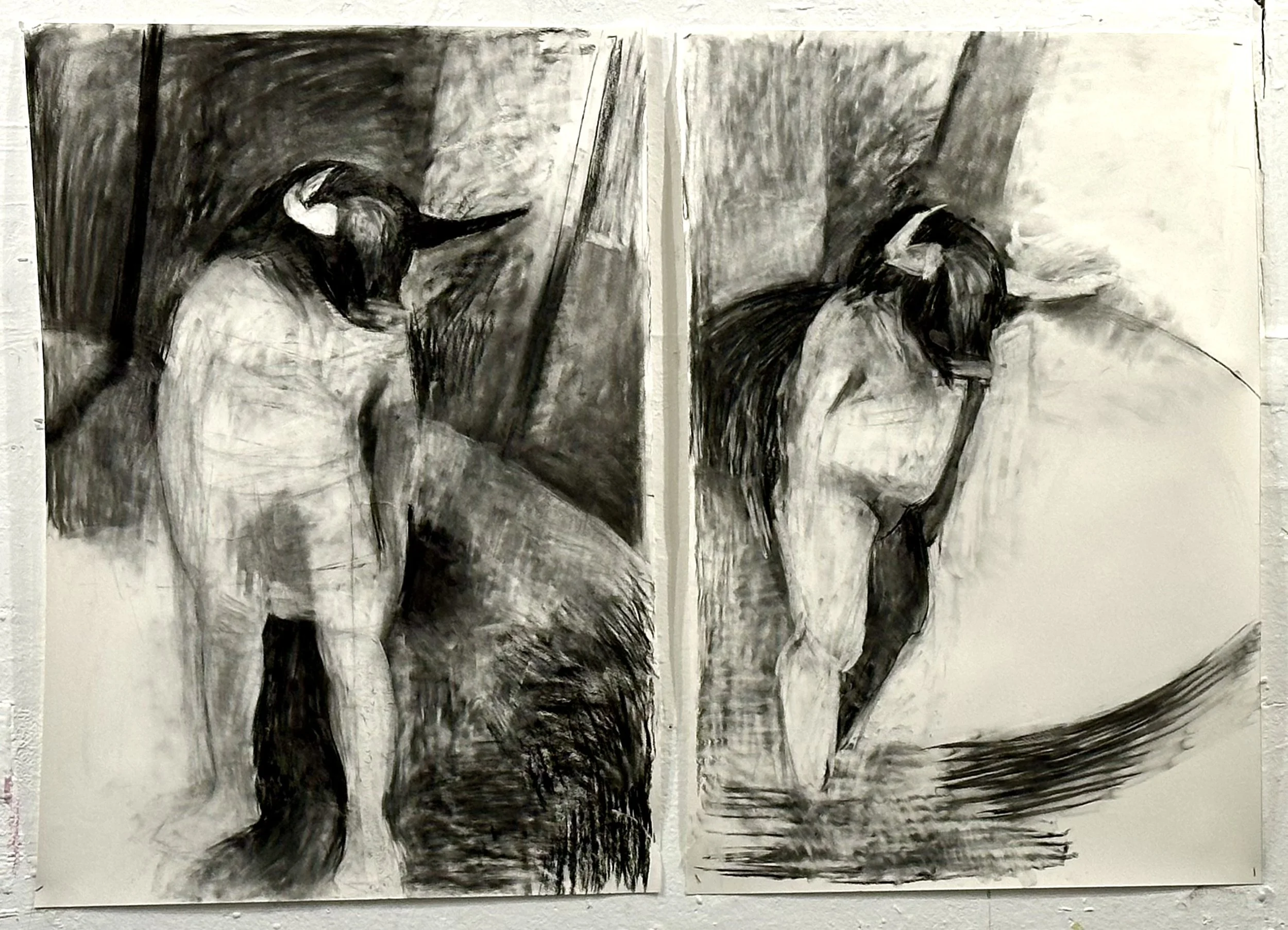 Charcoal on paper
36" x 24" each drawing