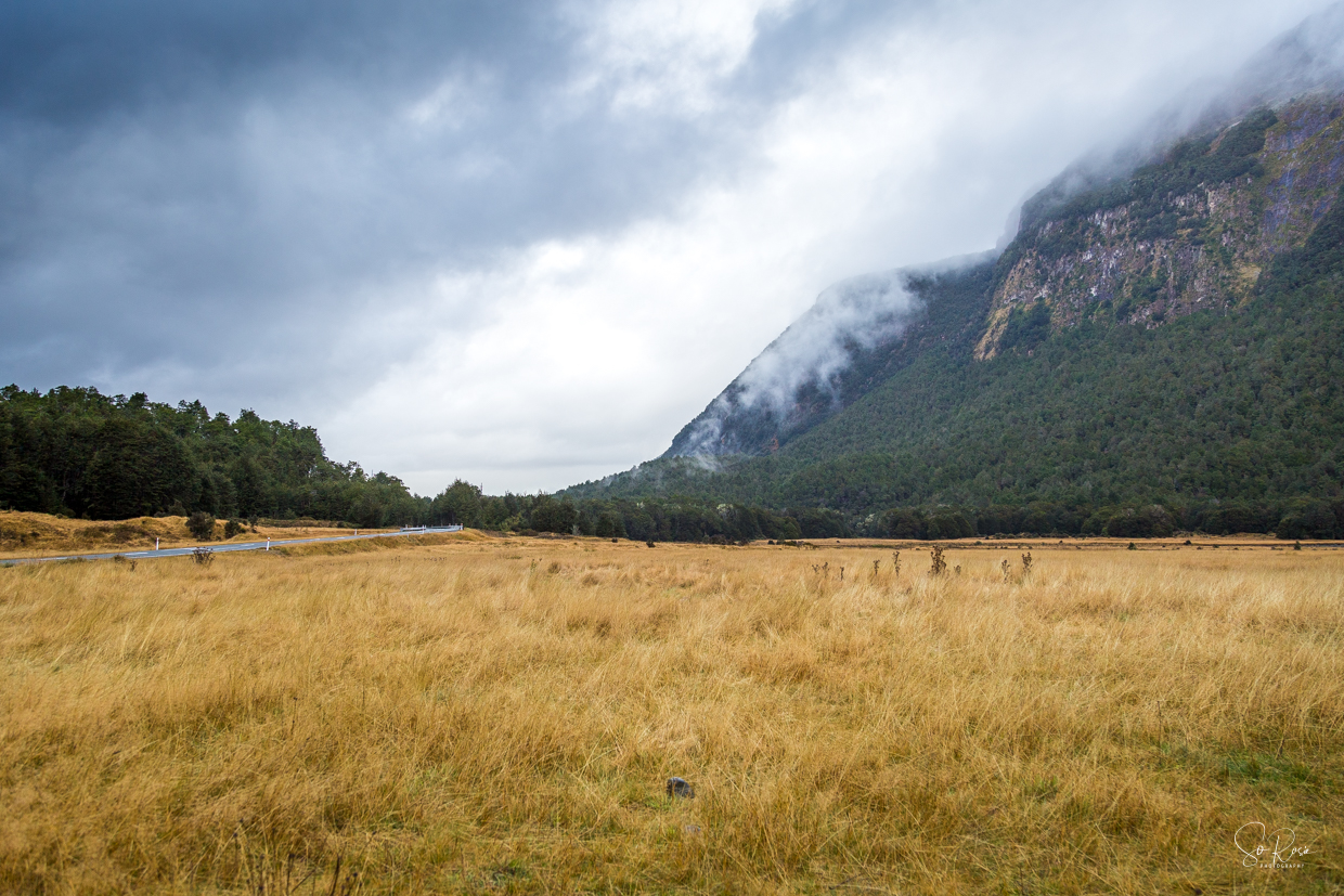 Day 2 - Queenstown-0028-HDR.jpg