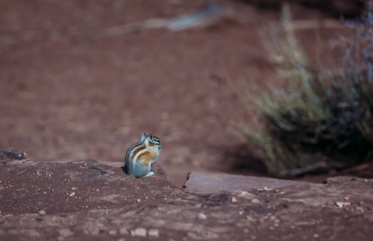 Day 7 | Moab to Denver