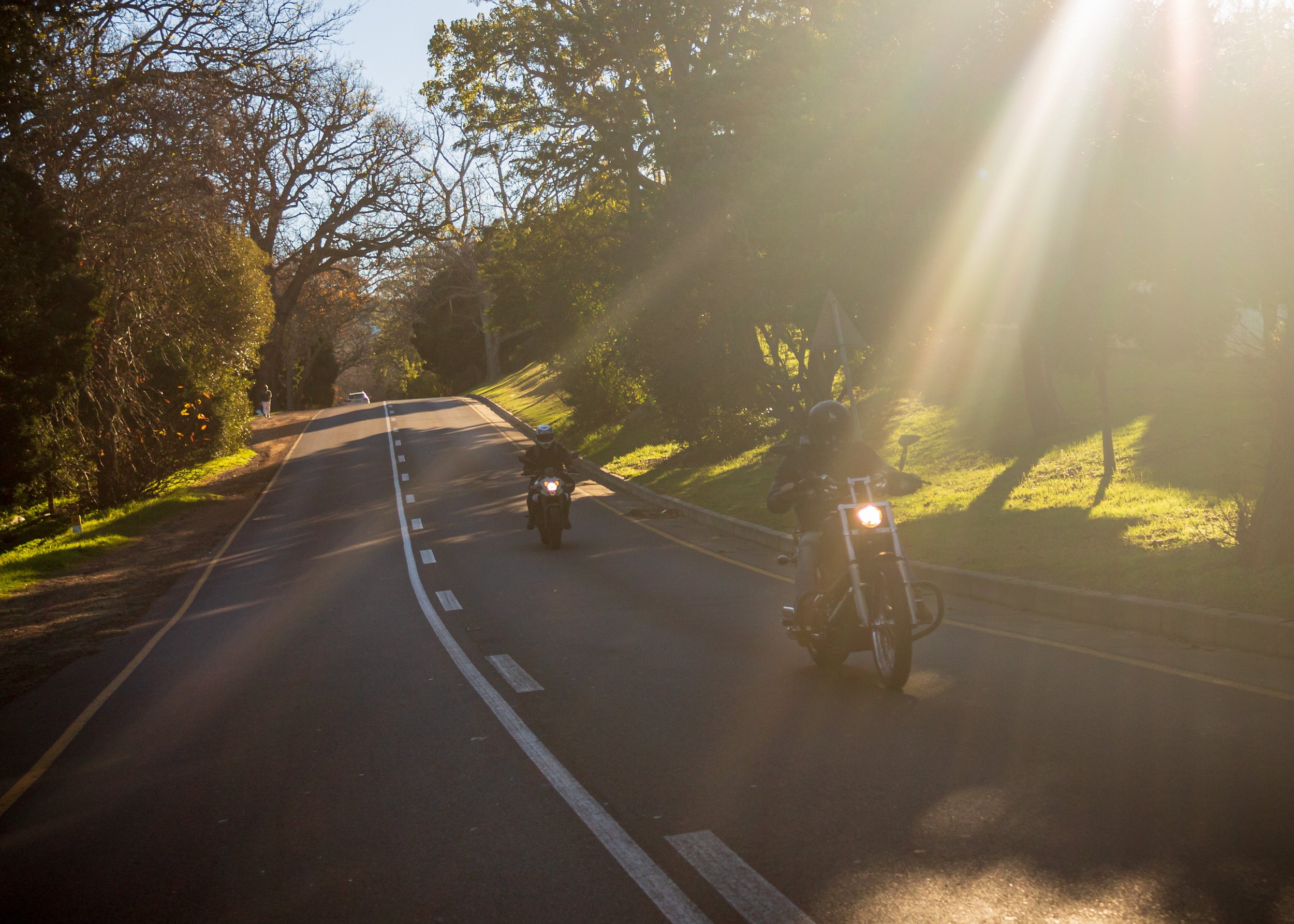 Bikes in Constantia.jpg