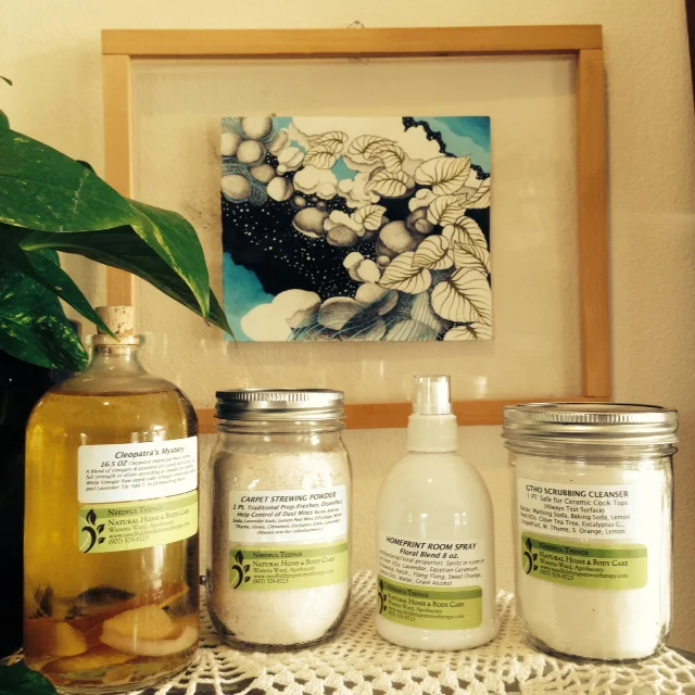 WHY VINEGAR &amp; OTHER NEEDFUL THINGS PART 1