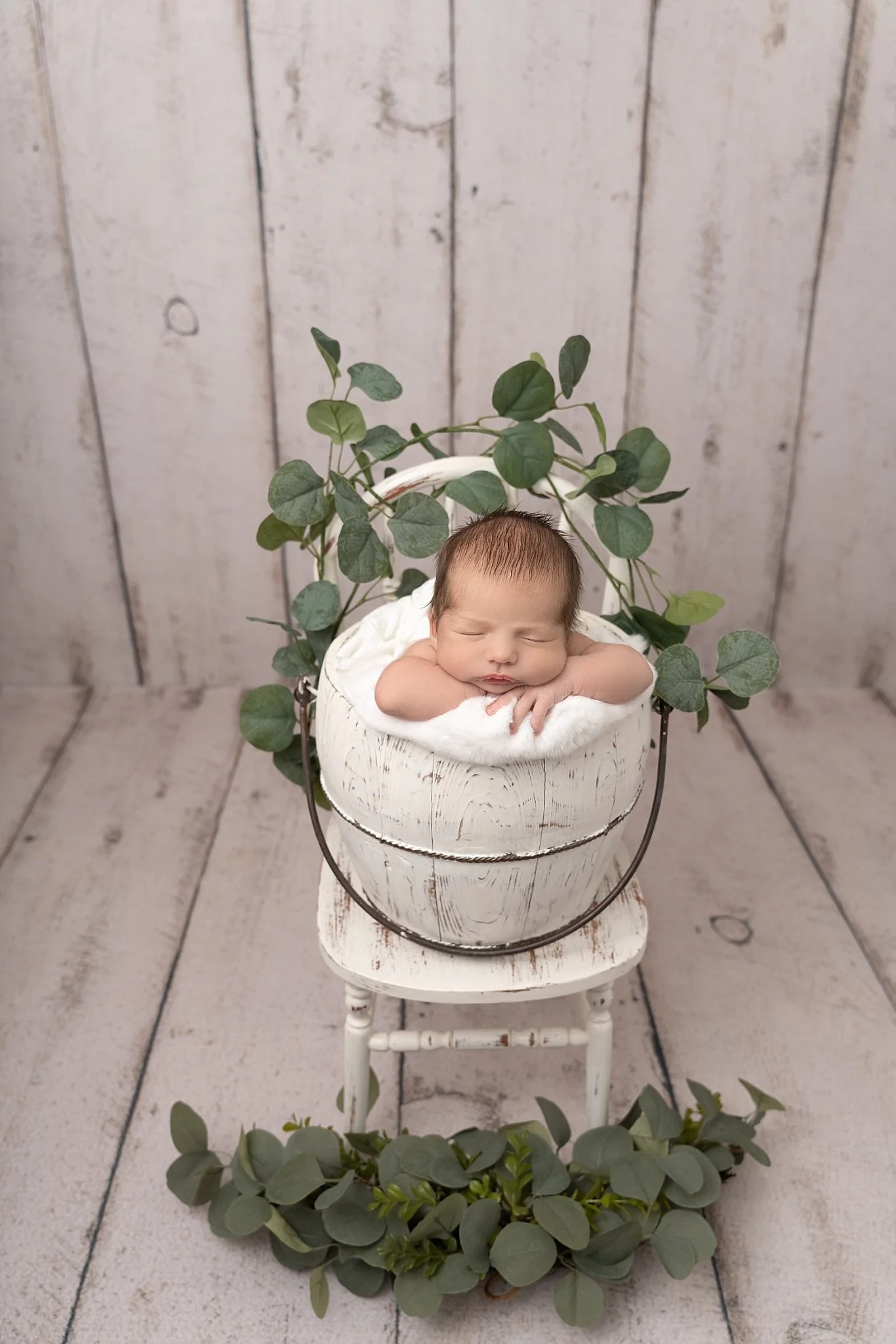 The Edwardsville Photographer