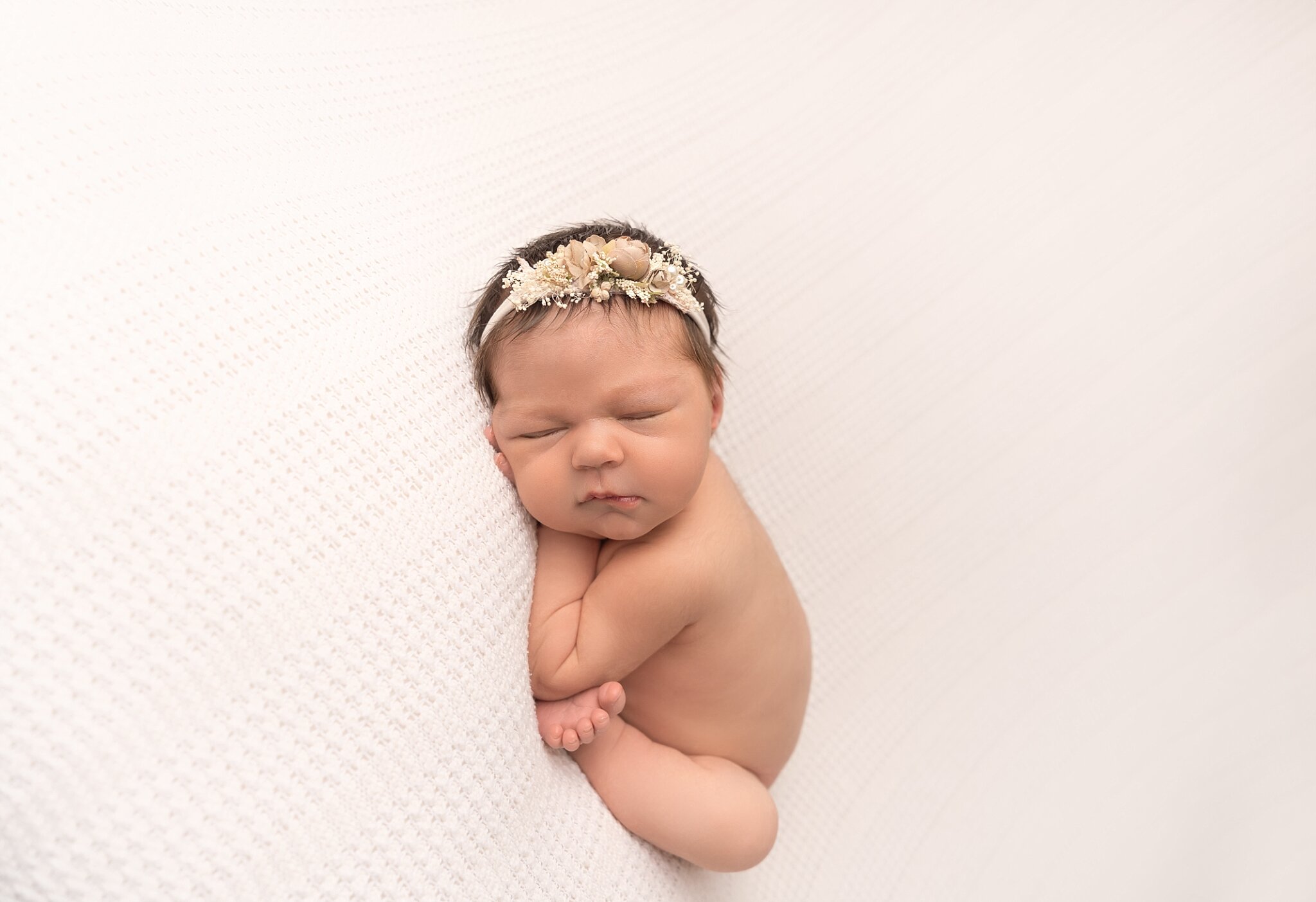 Book a newborn session and receive a FREE Maternity Mini session or Milestone Session! 
Link to book a session or see pricing: https://www.connerjamesphotography.com/booknow

#connerjamesphotography #referralprogram #supportsmallbusiness #edwardsvill