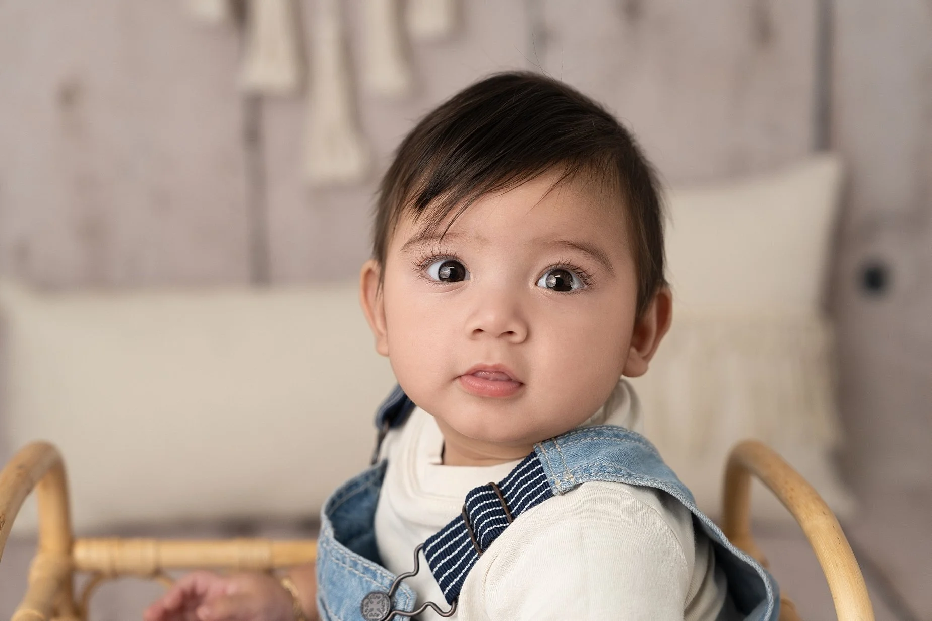 6 month baby milestone portrait in Glen Carbon IL studio wearing denim overalls by Conner James Photography