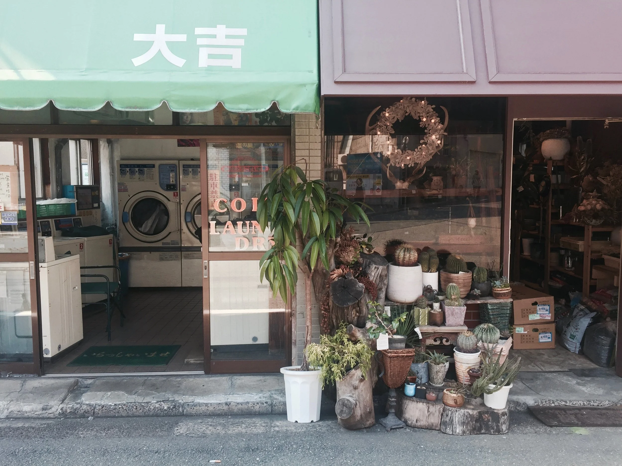 vintage feel laundromat succulent shop street in ebisu, tokyo japan