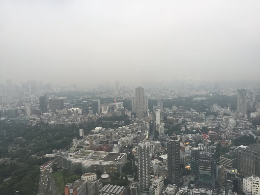  Roppongi skyview from Roppongi Tower 