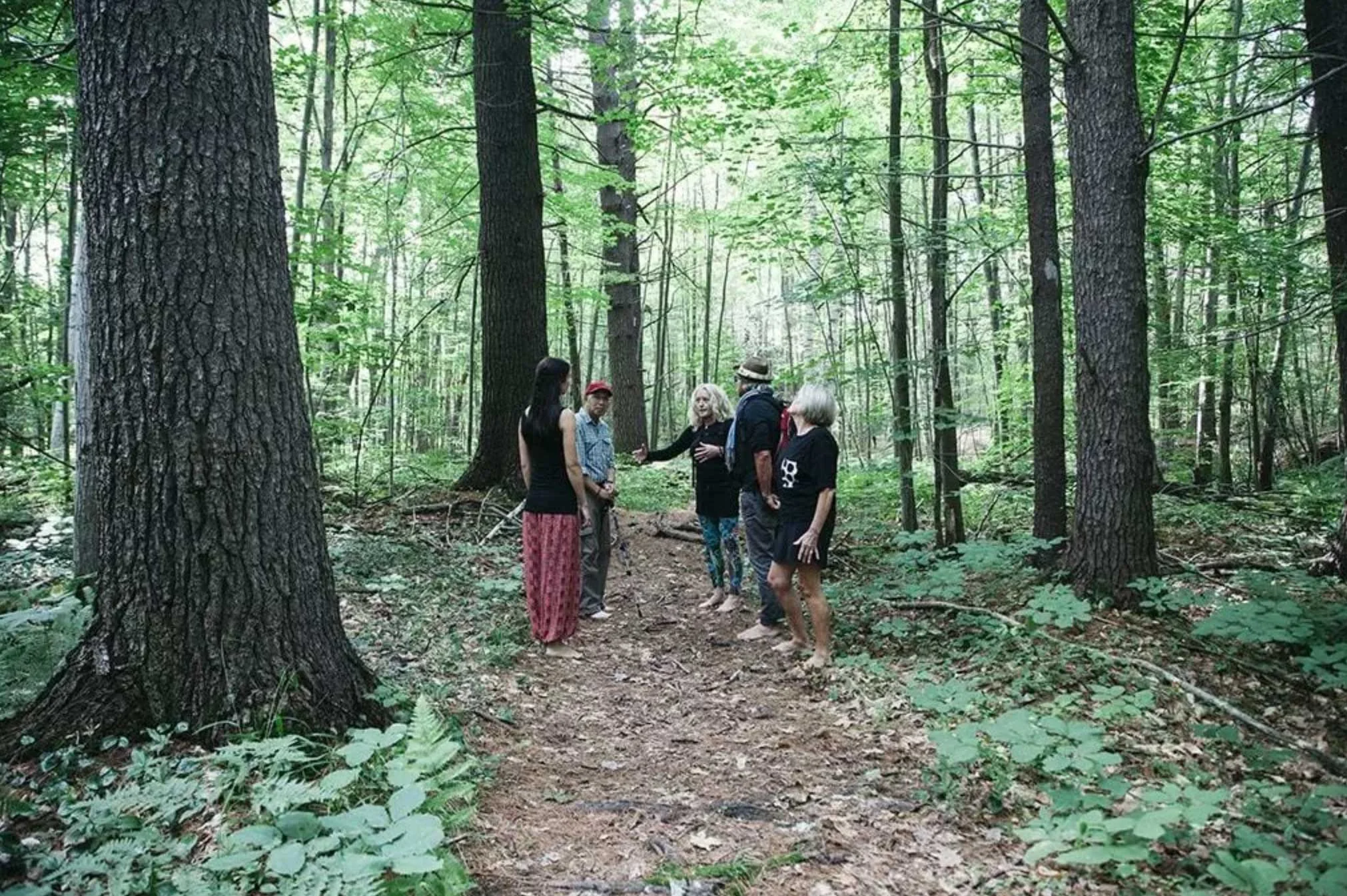 Airbnb-Earth-Day-3.jpg