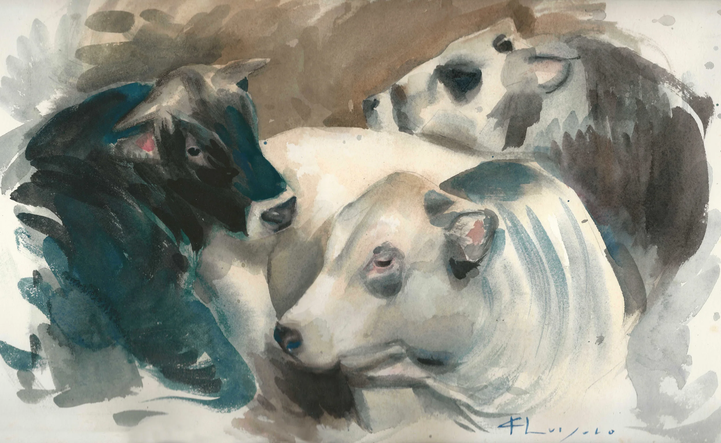 tuoi, 2015