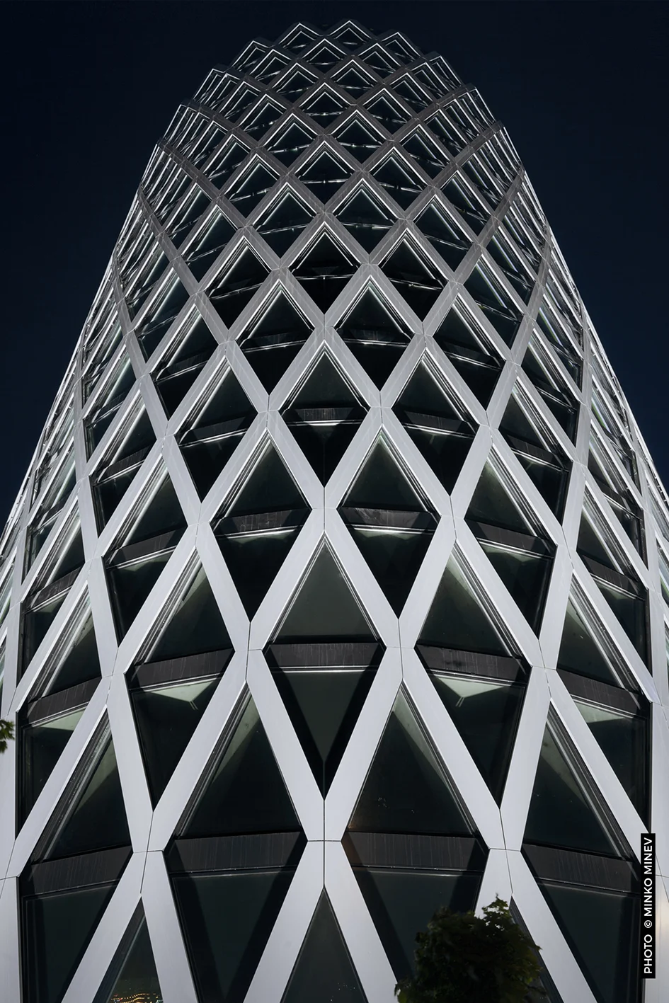 _MG_8640 web.jpg