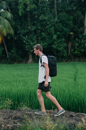 A Mission to The Paddy Fields