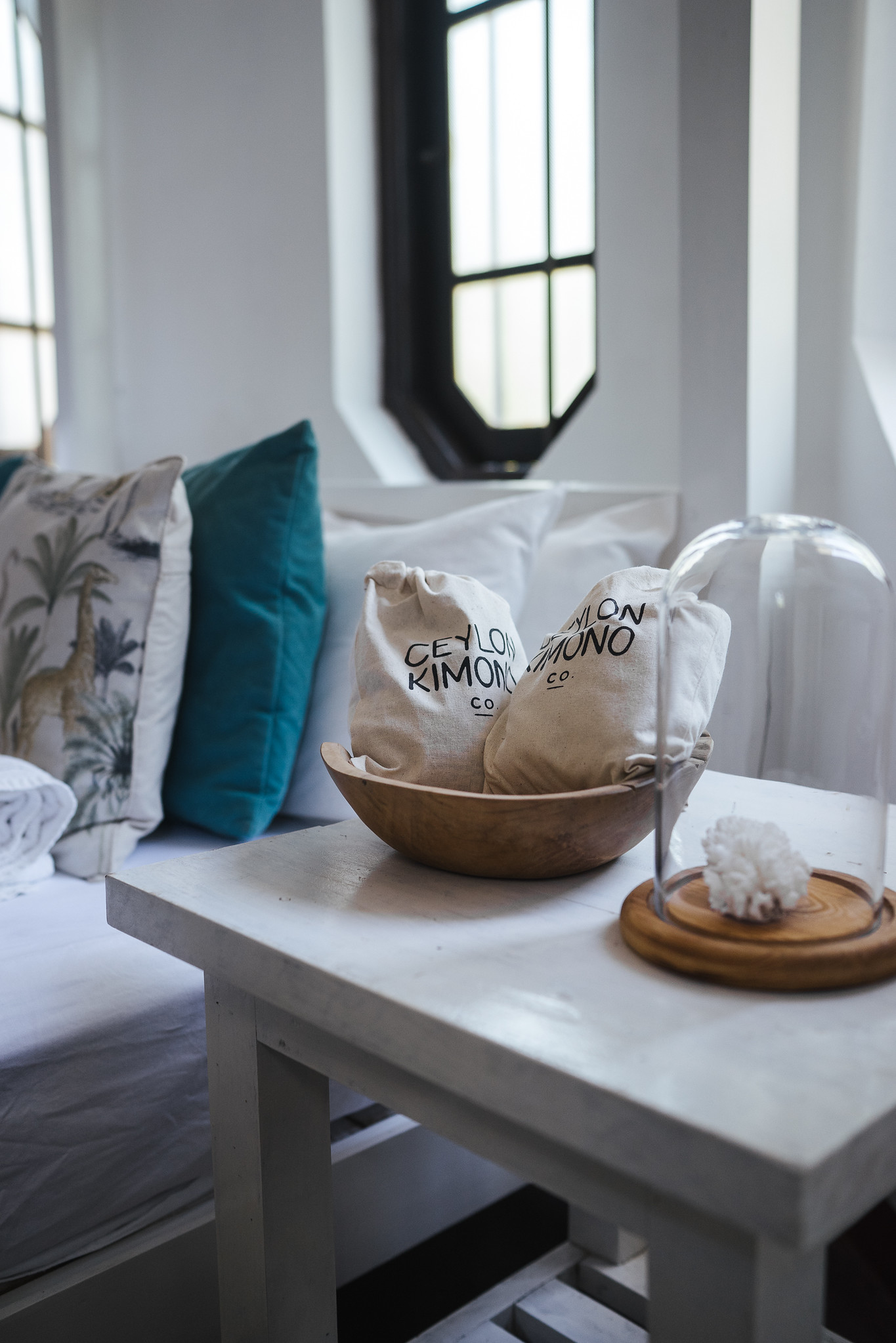 Social Media Content & Newsletters