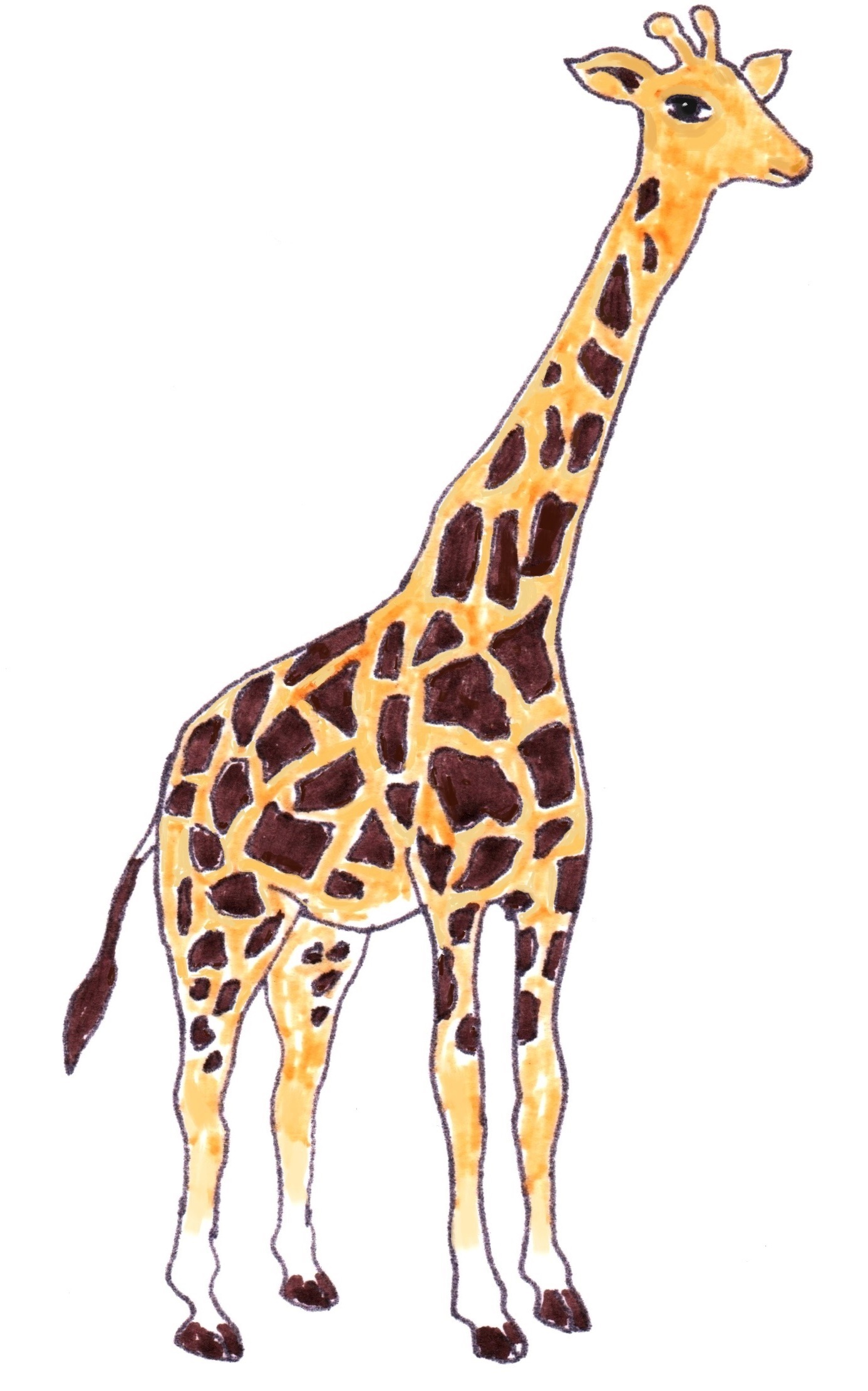 giraffe final.jpg