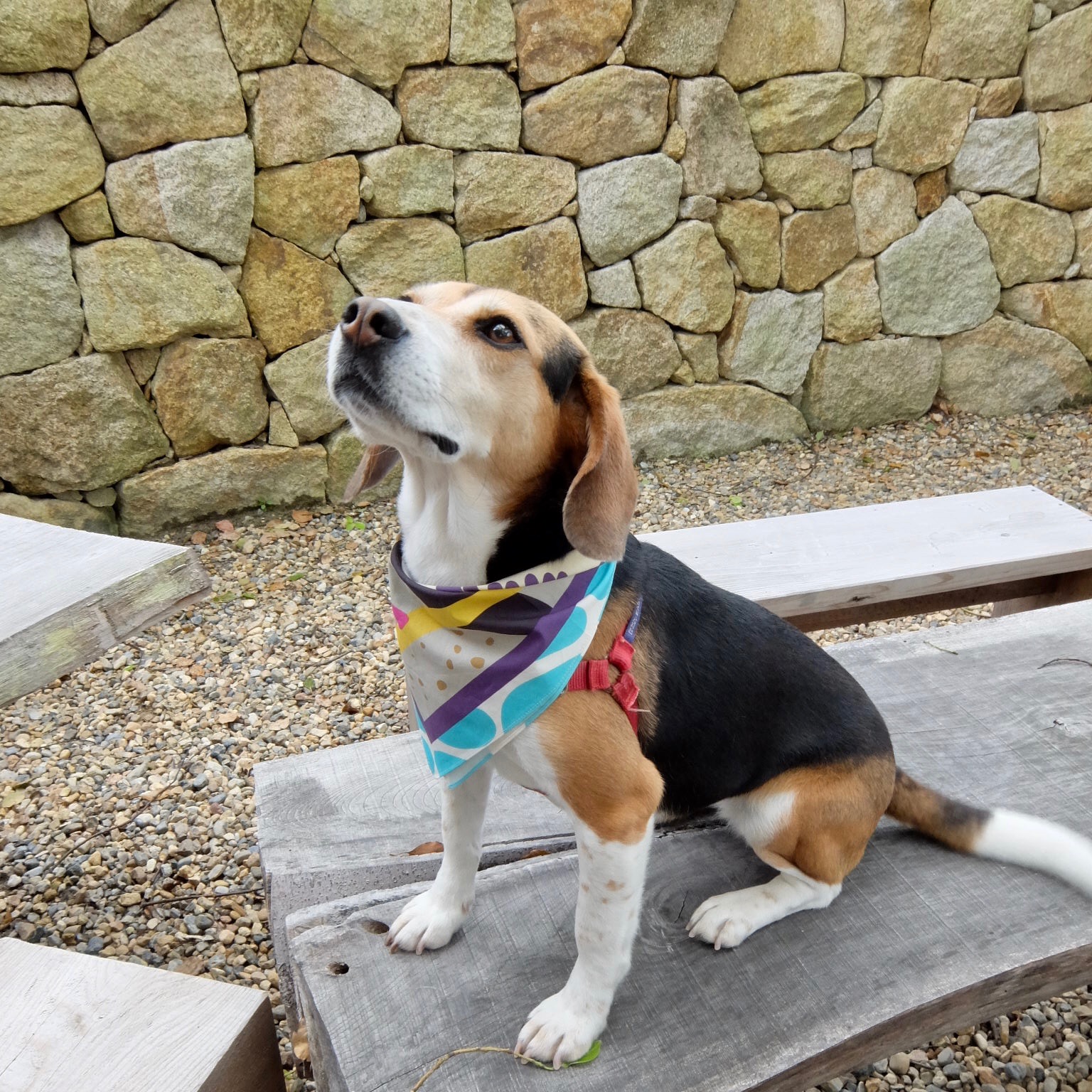 ストールの巻き方 News Yarn Copper