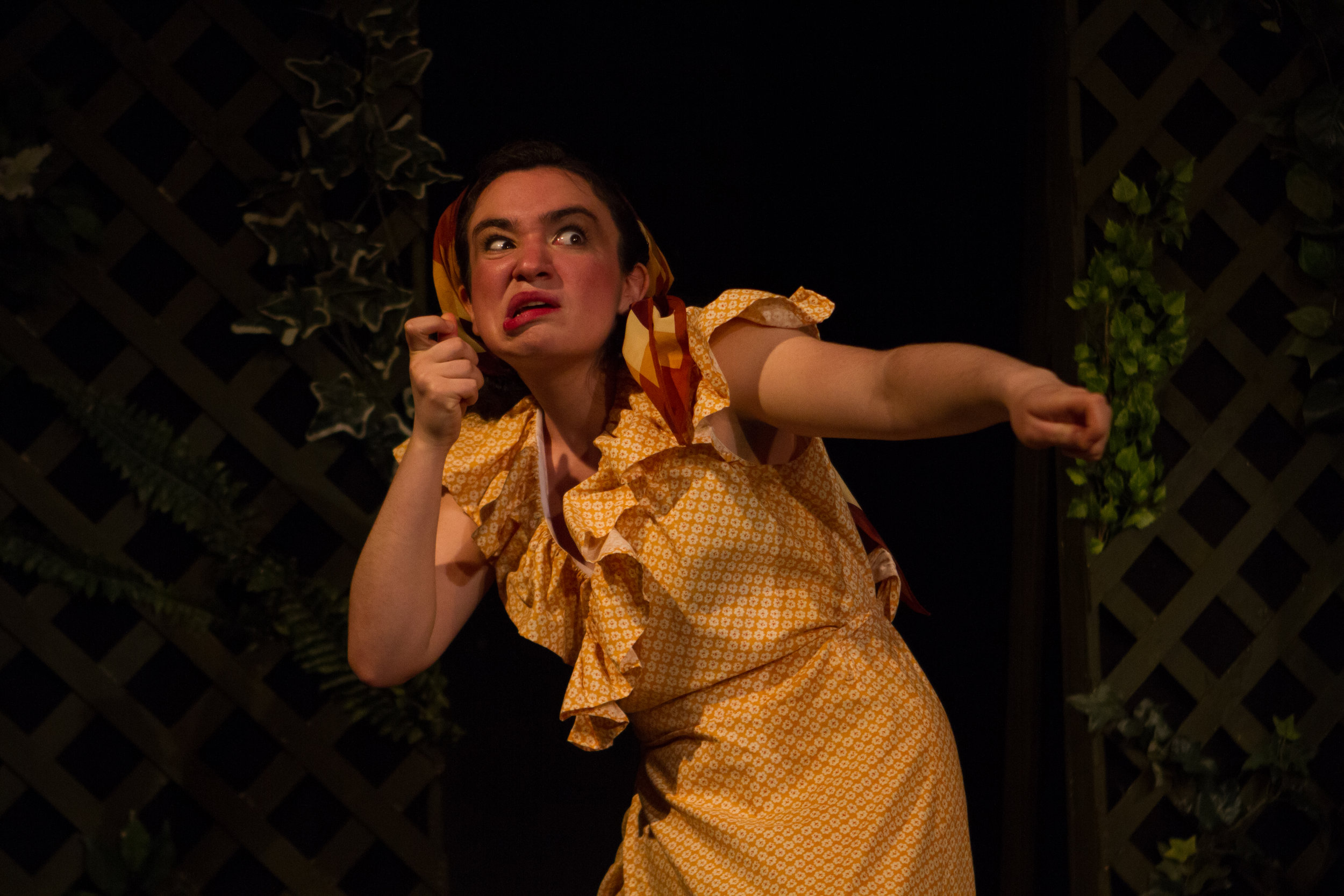 Hay Fever directed by Sash Bischoff