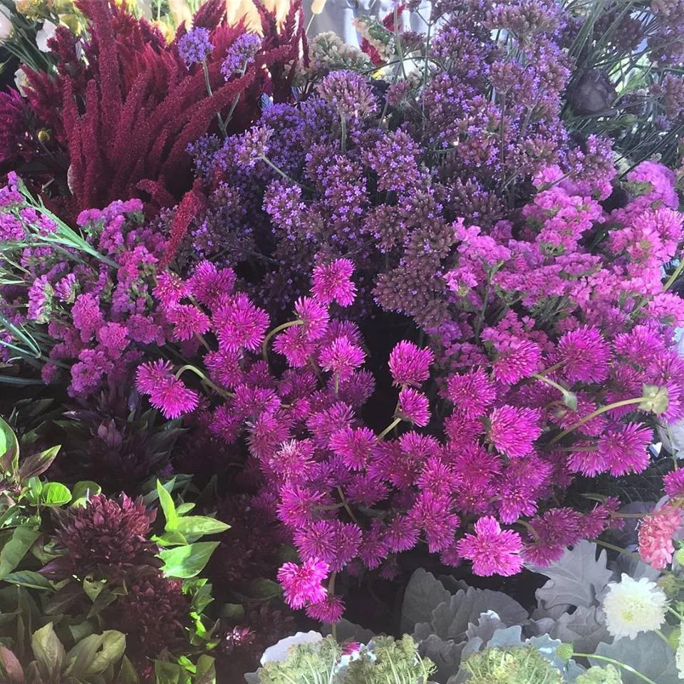 rdf wholesale3.jpg