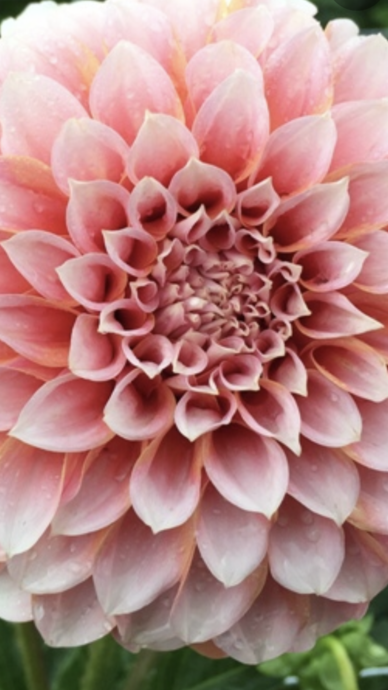 191ADF29-7B19-4EF4-933D-6BBC3A085BCF