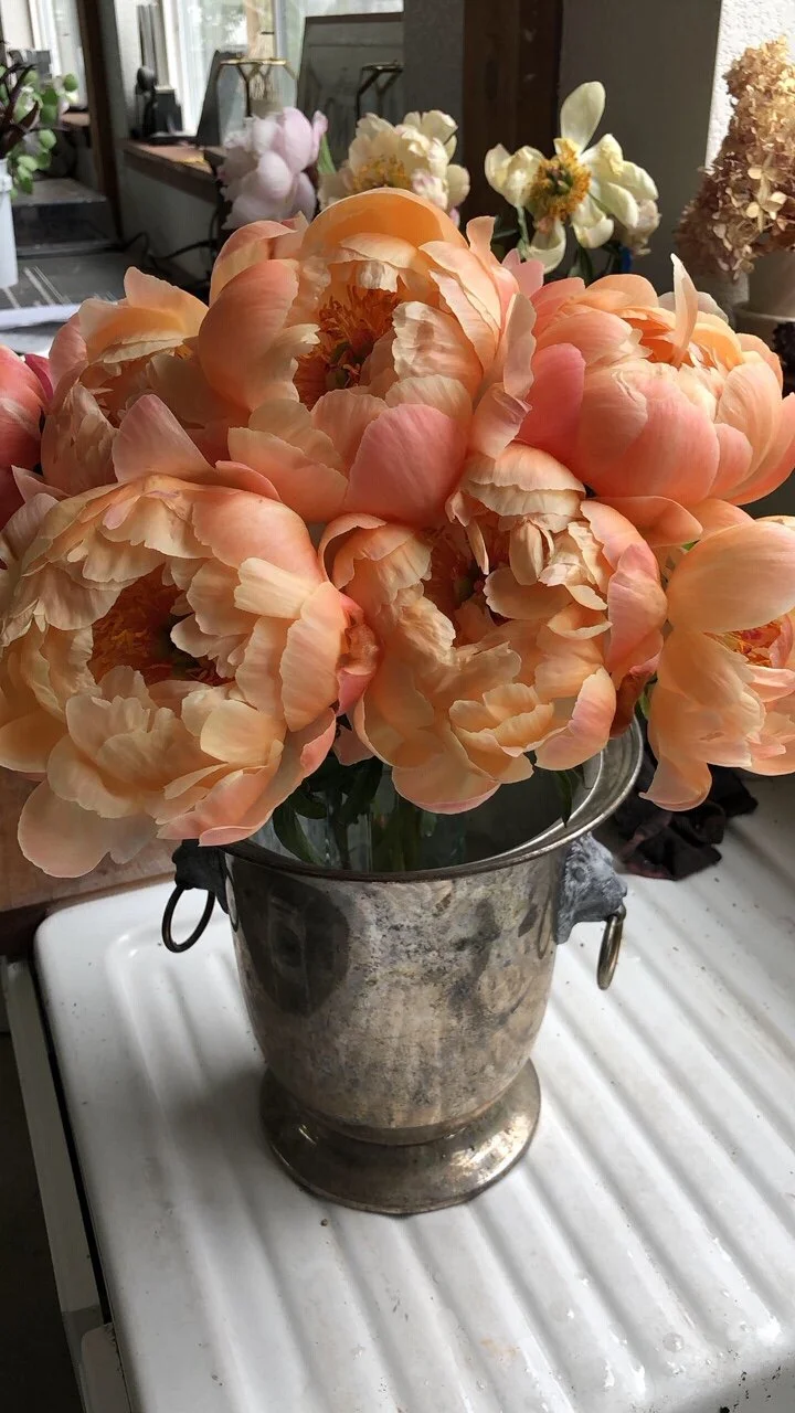 peachpeonies.JPG