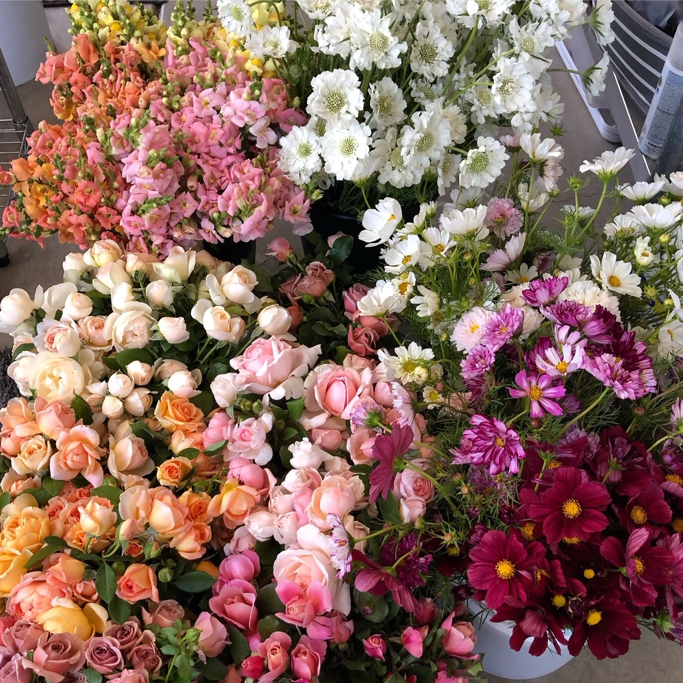 flowers1.JPG