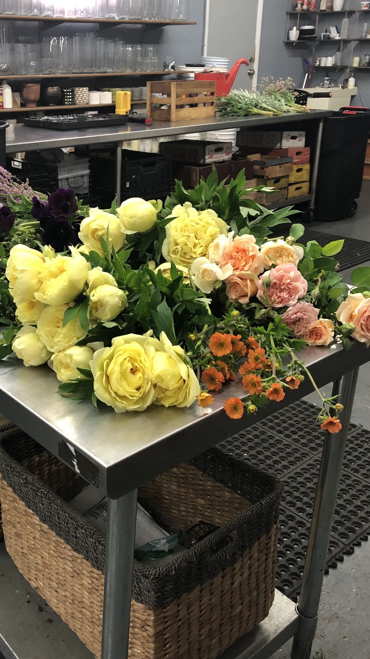 FE8F3C91-9BDA-4EA0-AD33-54E12816EFE5