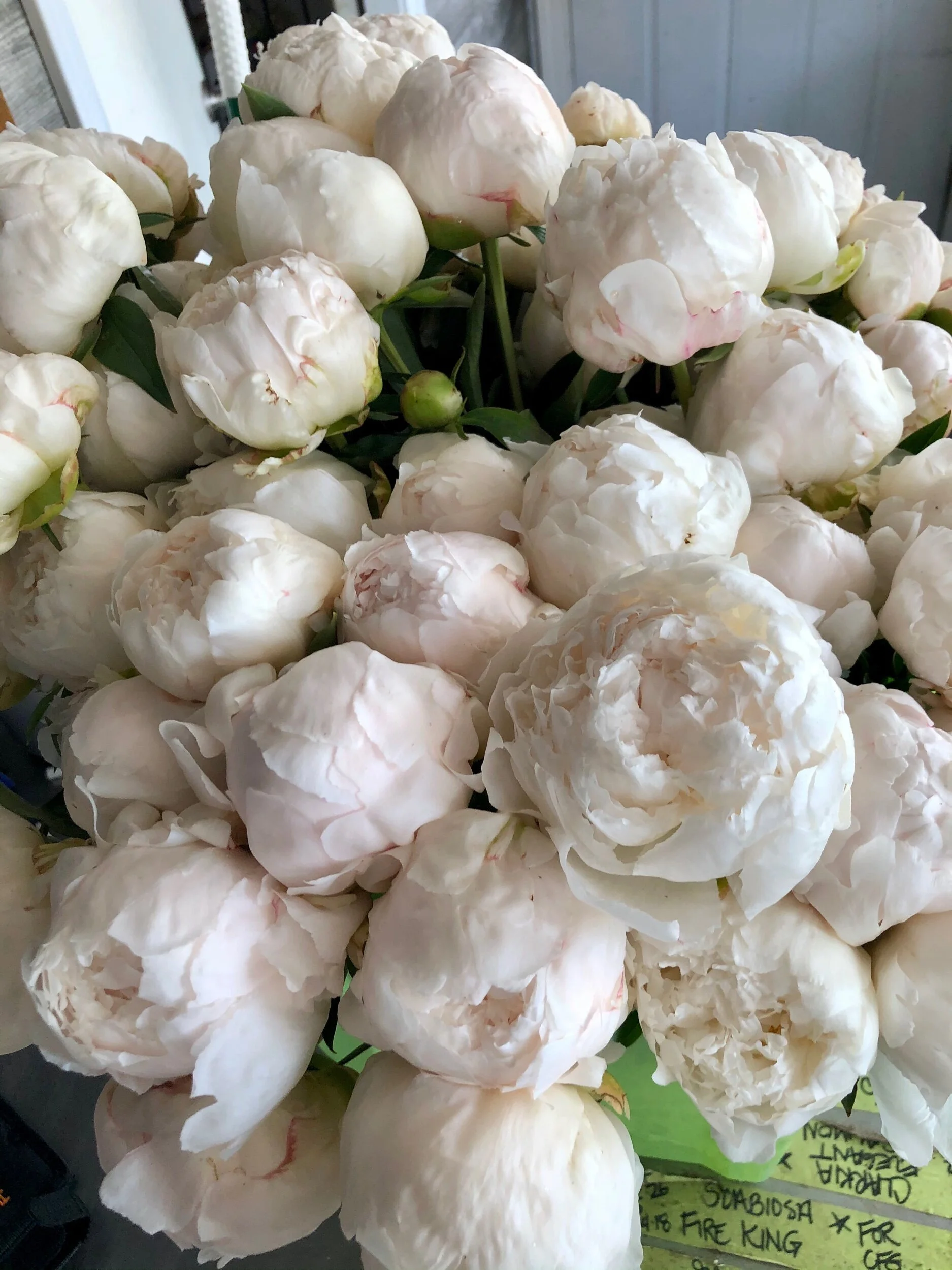 B7F3633F-5FE8-4850-8835-4B02F0EDF8C6