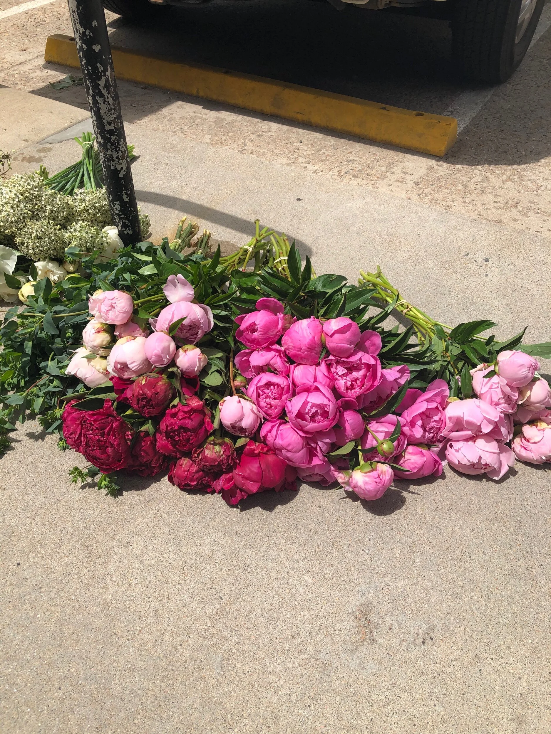 73DE605B-ECF2-47EA-ACFE-82522EEC09E8