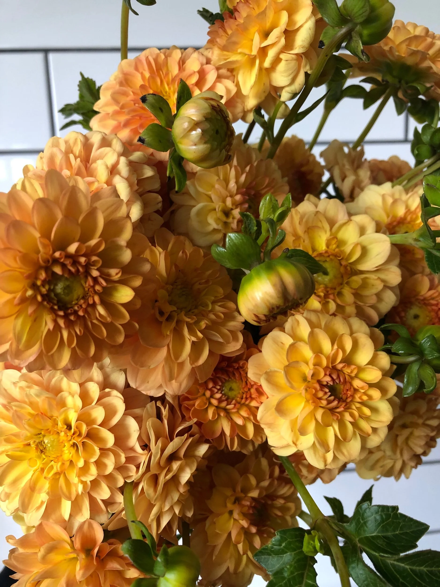 407859B3-C340-4672-9CA6-16A30C83EC03