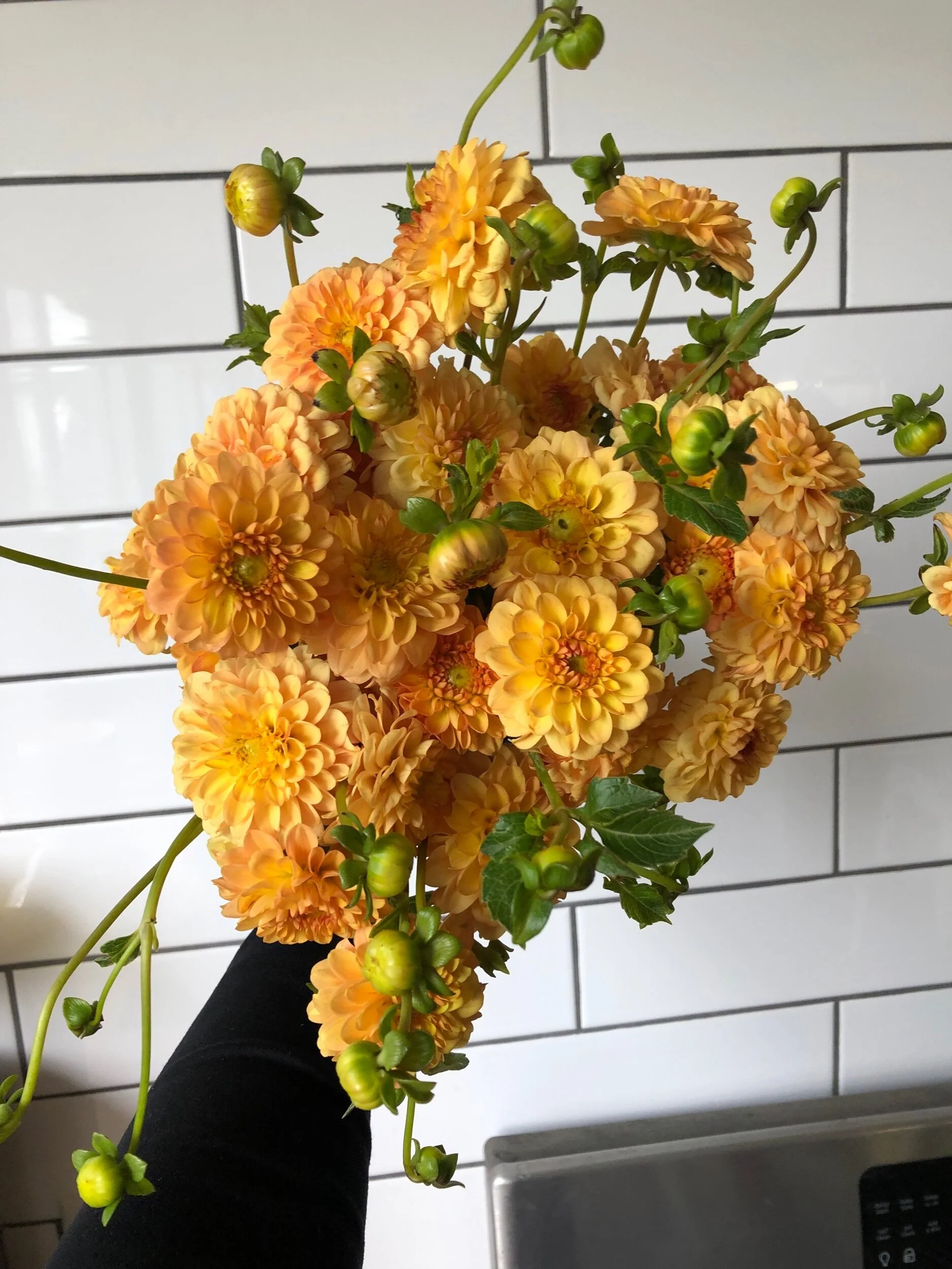 FA4B339D-6903-483C-970C-29C93C5E4FCE