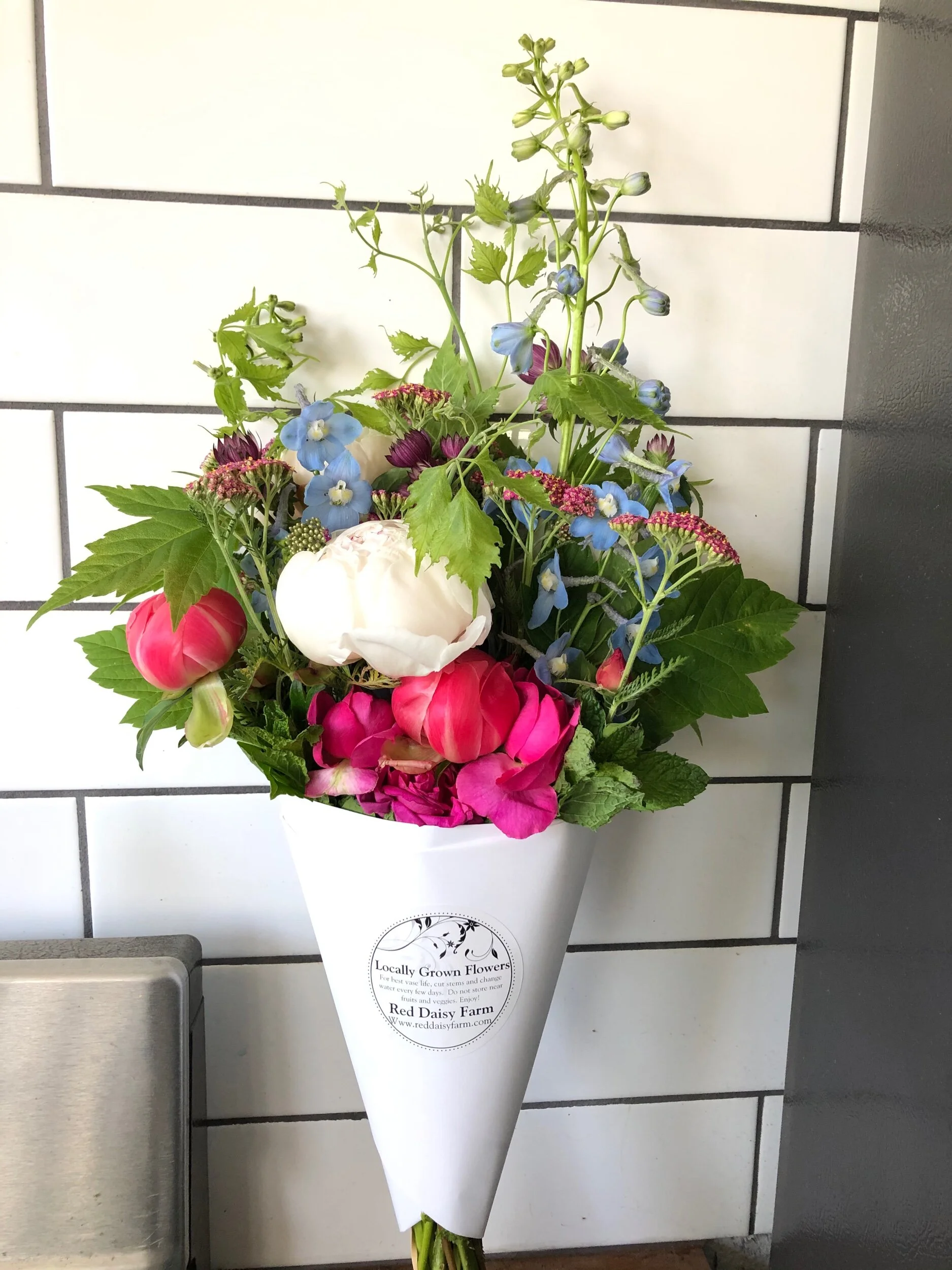 756DA2FC-C853-434C-A671-9AF5FD1E74ED