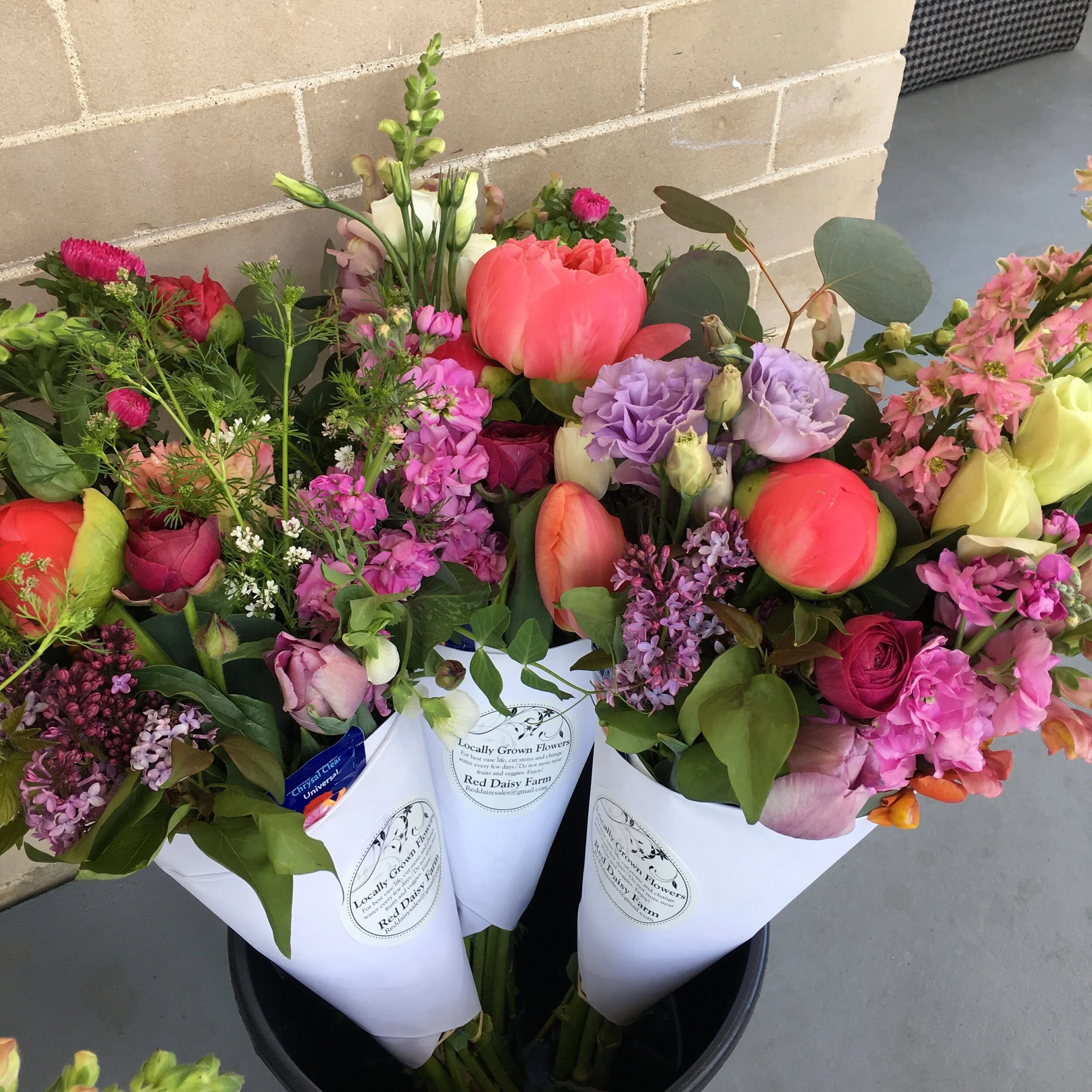 3FDCB1D6-16C0-4DB1-9972-E5A86046AC54