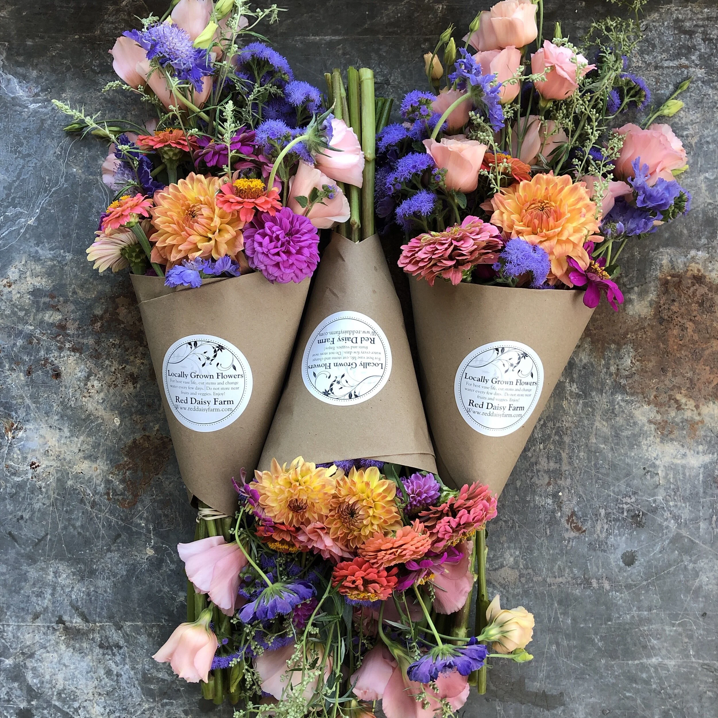 EC6008AC-8EEC-40AE-929A-13F2E69D067C