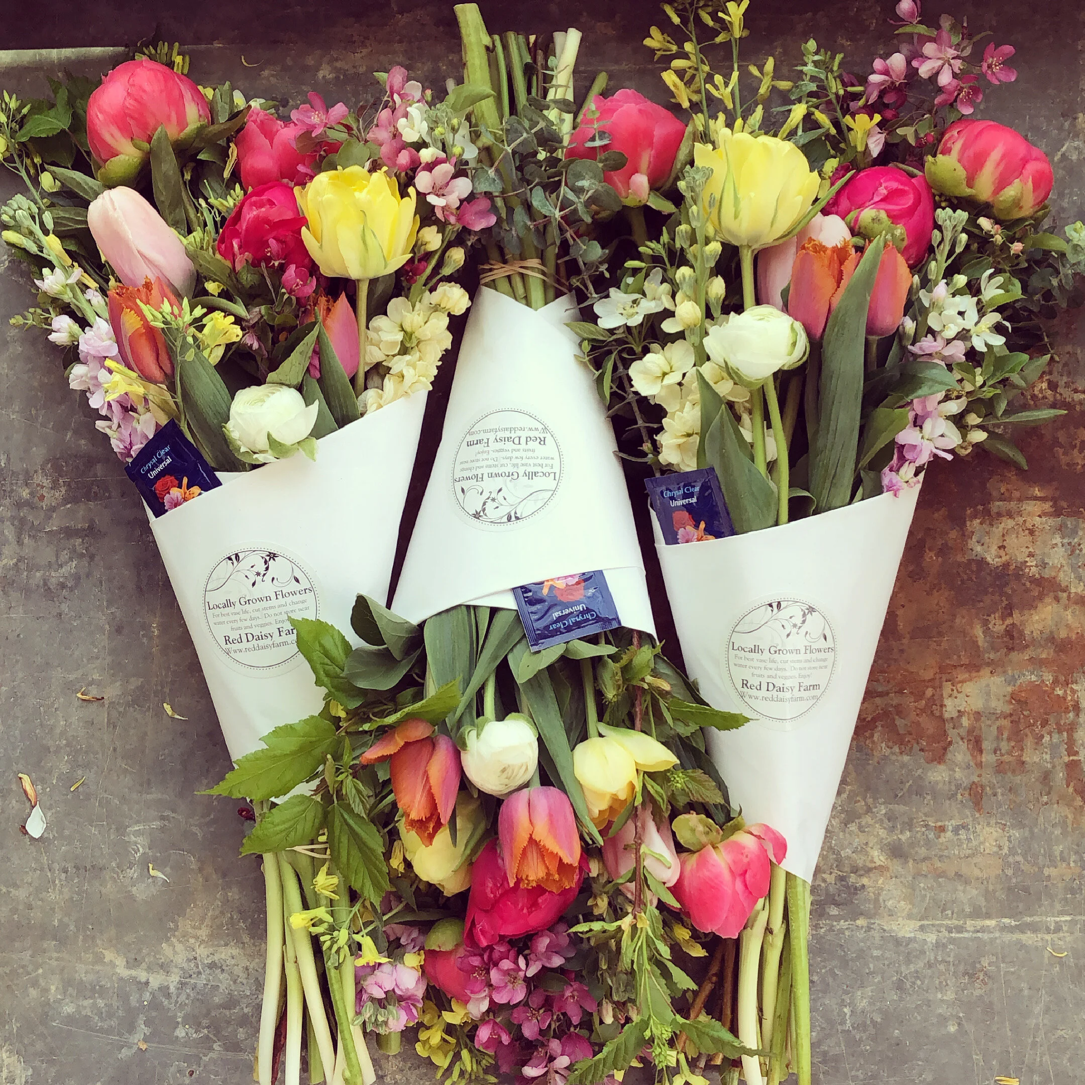 8A809045-E32C-4EA0-BFC7-4CFF17EC17C7