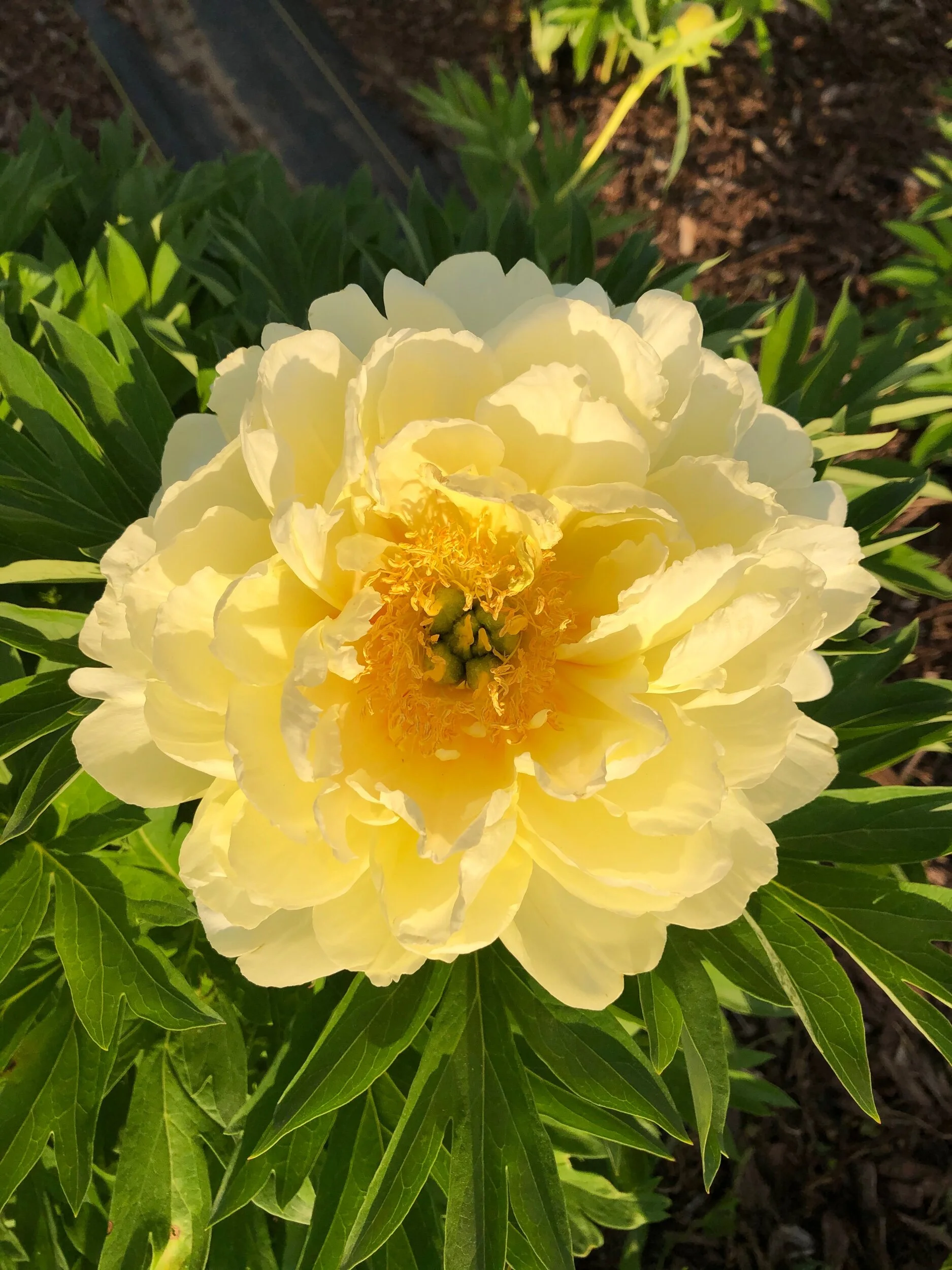 BF2E64E8-3EDD-4771-AB69-D785DB84460F